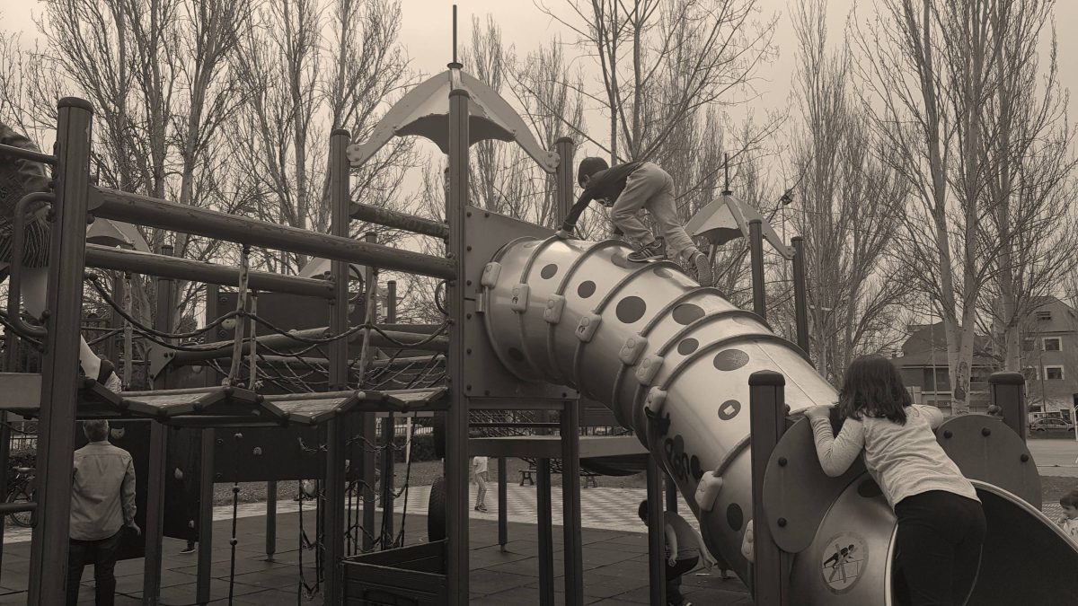 Transformación Cultural