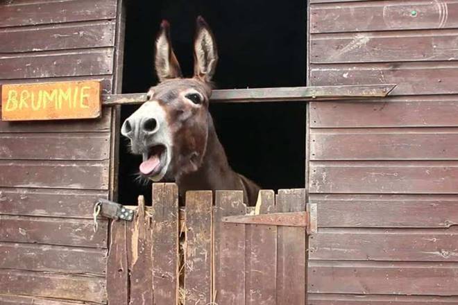 Hector Robles cultura empresa